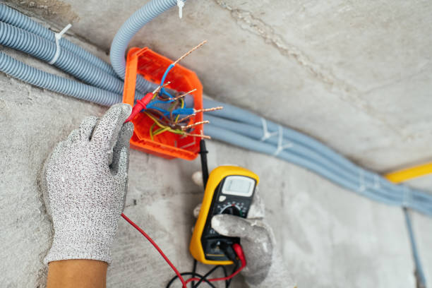 Best Electrician for Home Renovation  in Mason, MI
